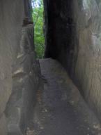 Resize of Talpa 087.jpg